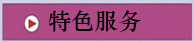 特色服务 特色服务